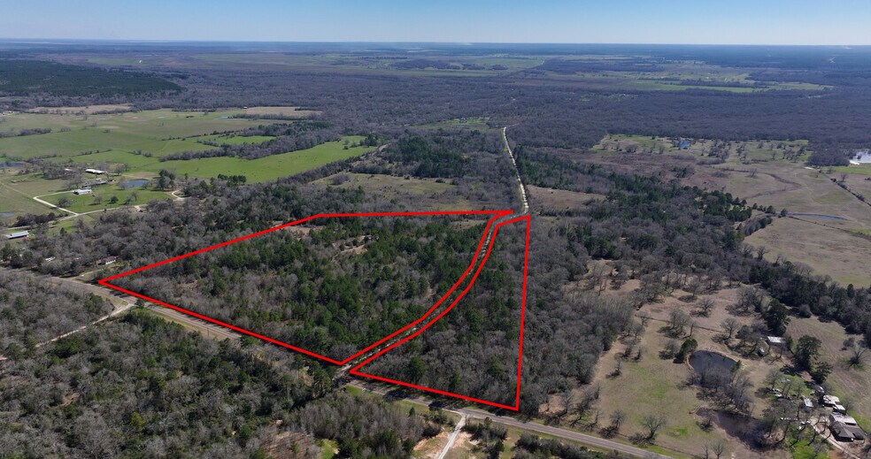 0000 Palmetto rd, Trinity, TX à vendre - Photo du bâtiment - Image 2 de 10