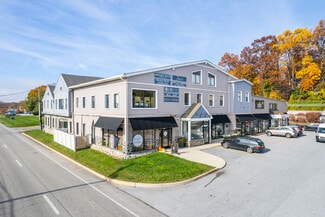 Plus de détails pour 111 W Lancaster Ave, Devon, PA - Local d'activités à louer