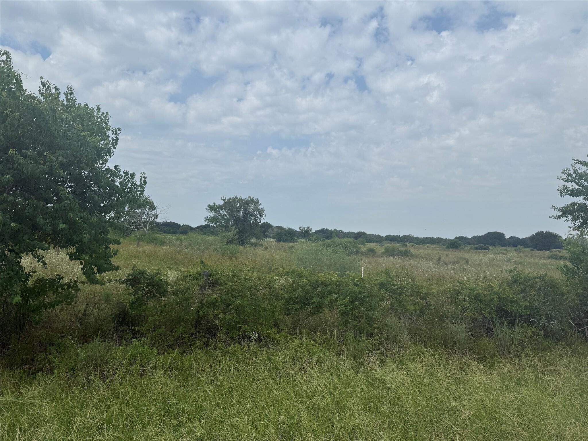 0 County Road 25 Rd, Damon, TX à vendre Photo principale- Image 1 de 5