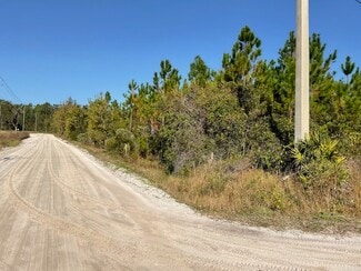 More details for 14163 Arnold Rhoden Road, Sanderson, FL - Land for Sale