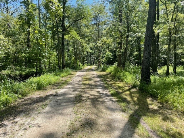 000 Gator walk, Ridgeville, SC à vendre - Photo du b timent - Image 2 de 12