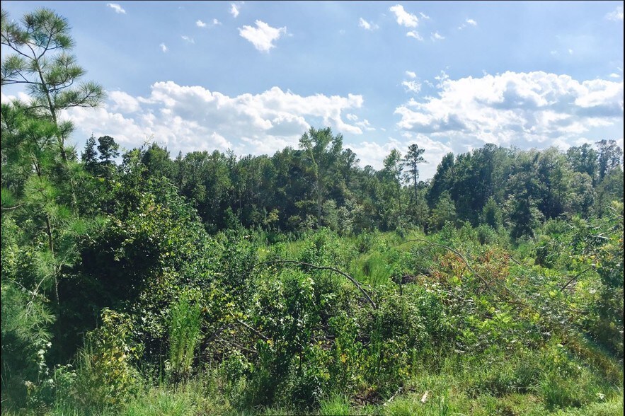 NC Hwy 24 87, Cameron, NC à vendre - Autre - Image 3 de 15