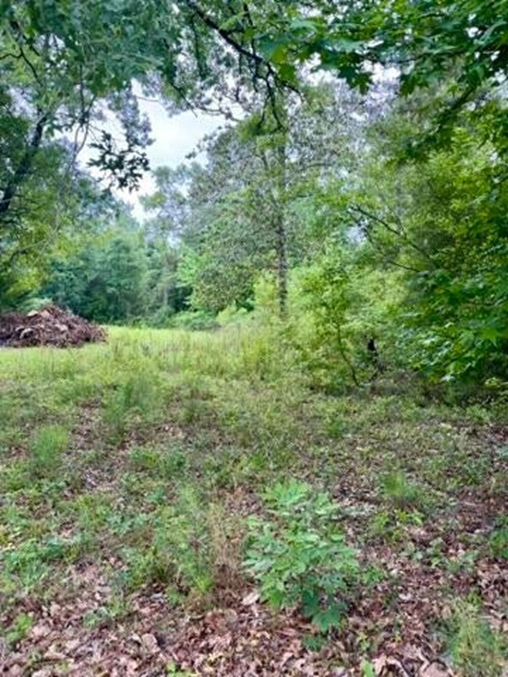 TBD Possum Trot ln, Pitkin, LA for sale Building Photo- Image 1 of 4