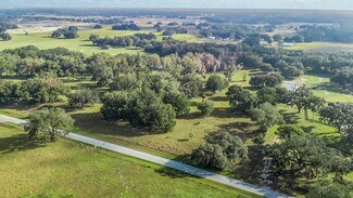 Plus de détails pour 0000 County Road 221, Wildwood, FL - Terrain à vendre