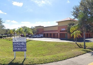 More details for 413 NE Van Loon Ln, Cape Coral, FL - Flex for Lease