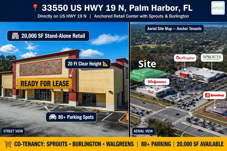 33550 US Highway 19 N, Palm Harbor, FL à louer - Photo principale - Image 1 de 33
