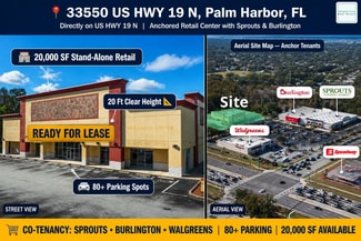 Plus de détails pour 33550 US Highway 19 N, Palm Harbor, FL - Commerce de détail à louer