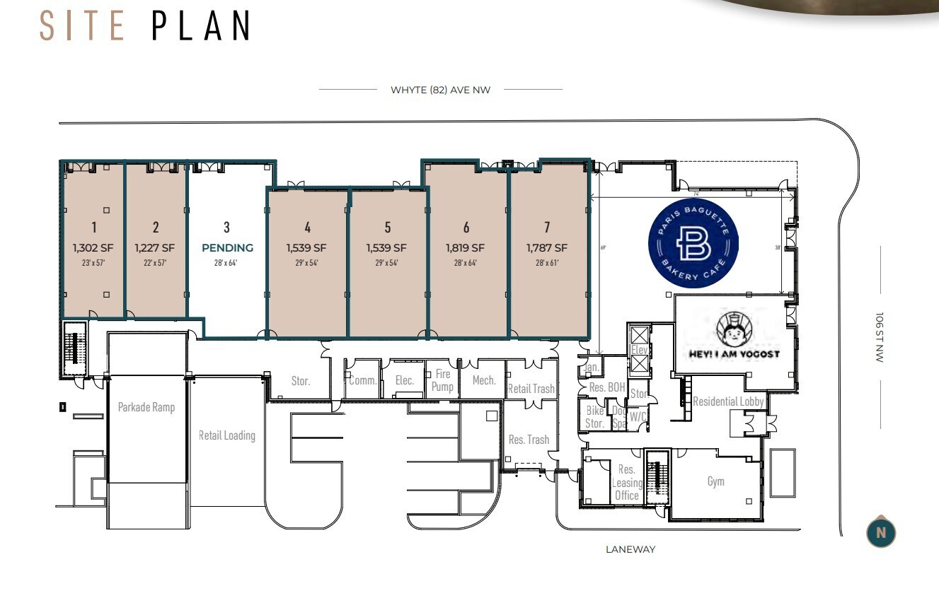 8122 106 St NW, Edmonton, AB à louer Plan d’étage- Image 1 de 1