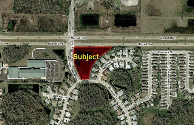 Plus de détails pour 1880 Trinity Oaks Blvd, Trinity, FL - Terrain à vendre