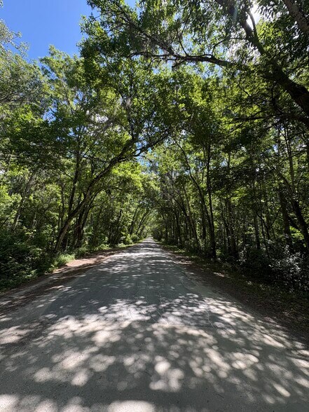 Lake Panasoffkee, Lake Panasoffkee, FL for sale - Building Photo - Image 3 of 4