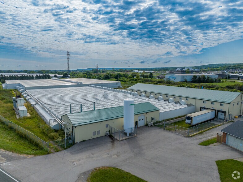 378 South Service Rd, Grimsby, ON à louer - Photo du bâtiment - Image 3 de 7