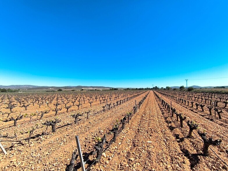 Land in Yecla, Murcia for sale - Aerial - Image 2 of 3