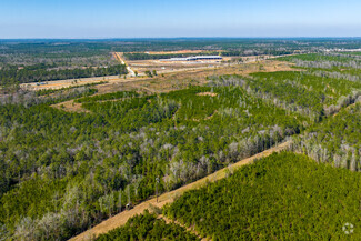 Plus de détails pour 0 U.S. HWY 59, Loxley, AL - Terrain à vendre