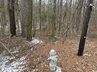 Plus de détails pour 3900 S Rockbridge Rd, Stone Mountain, GA - Terrain à vendre