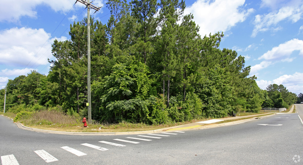 Pat Thomas Pkwy, Quincy, FL à vendre - Photo principale - Image 1 de 1