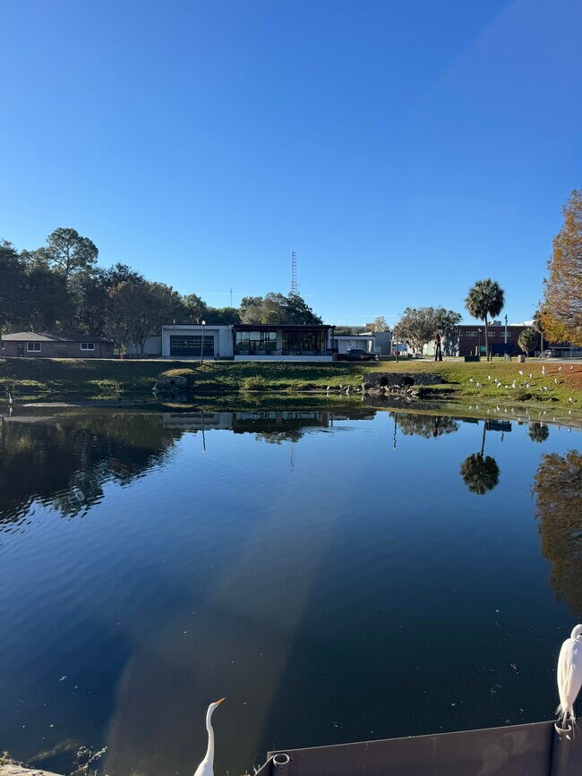 Plus de détails pour 235 NE Watula Ave, Ocala, FL - Commerce de détail à vendre