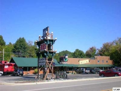 7305 US Highway 12, Onsted, MI for sale Primary Photo- Image 1 of 1