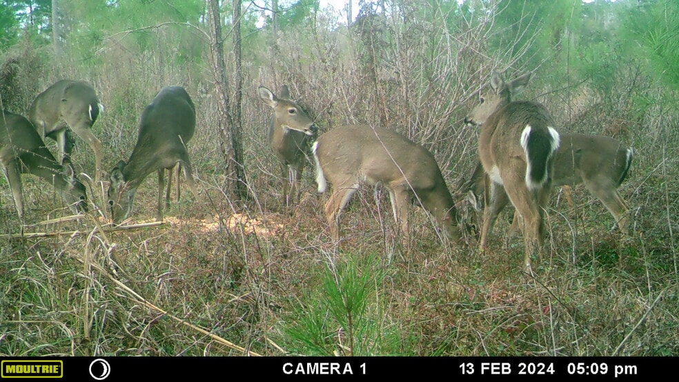 Solomon Dairy rd, Quincy, FL for sale - Building Photo - Image 3 of 10