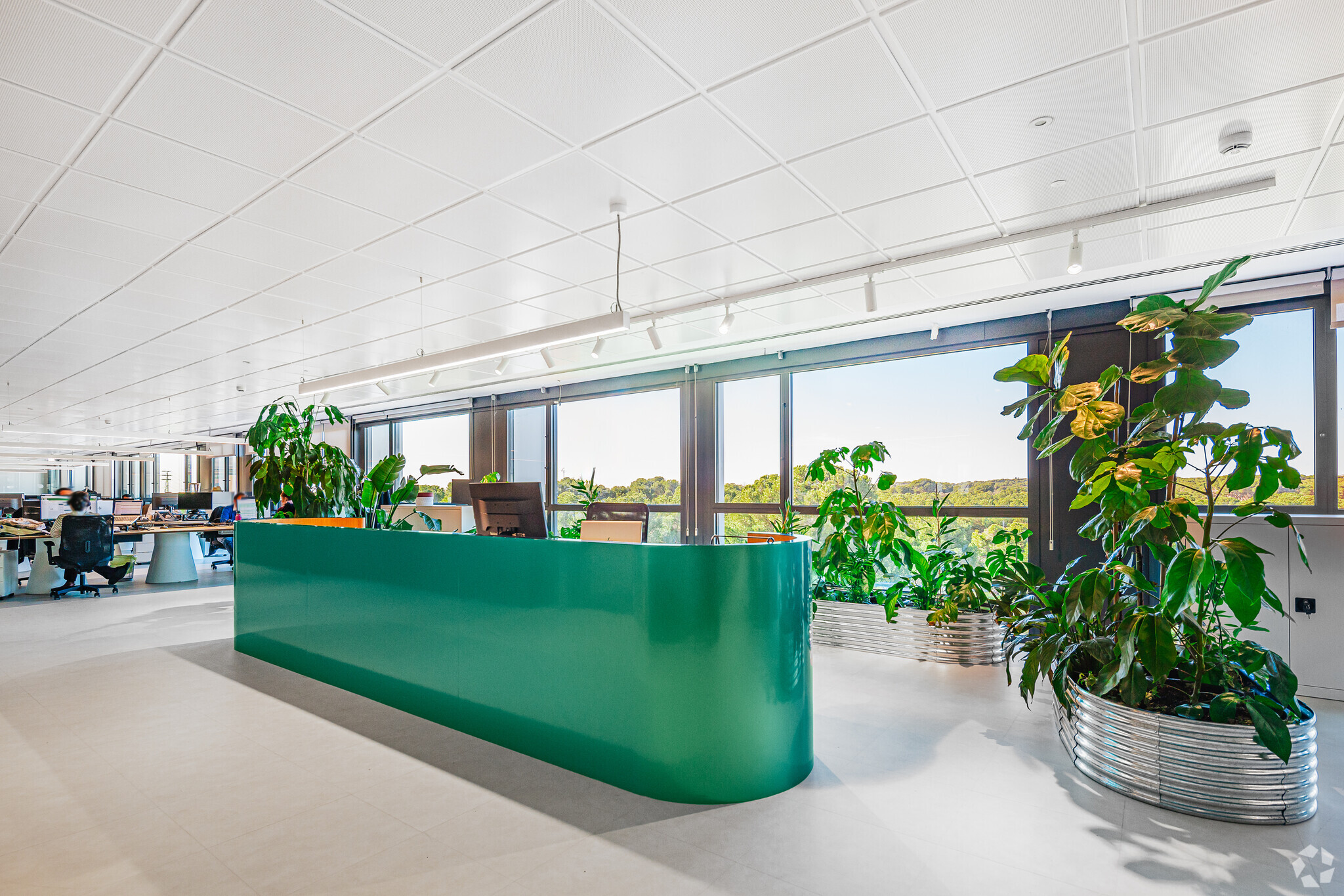 Camino Cerro de los Gamos, 1, Pozuelo de Alarcón, Madrid à louer Photo intérieure- Image 1 de 8