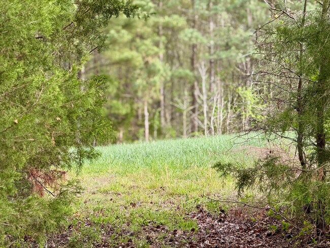 Plus de détails pour 12301 NC-86, Prospect Hill, NC - Terrain à vendre