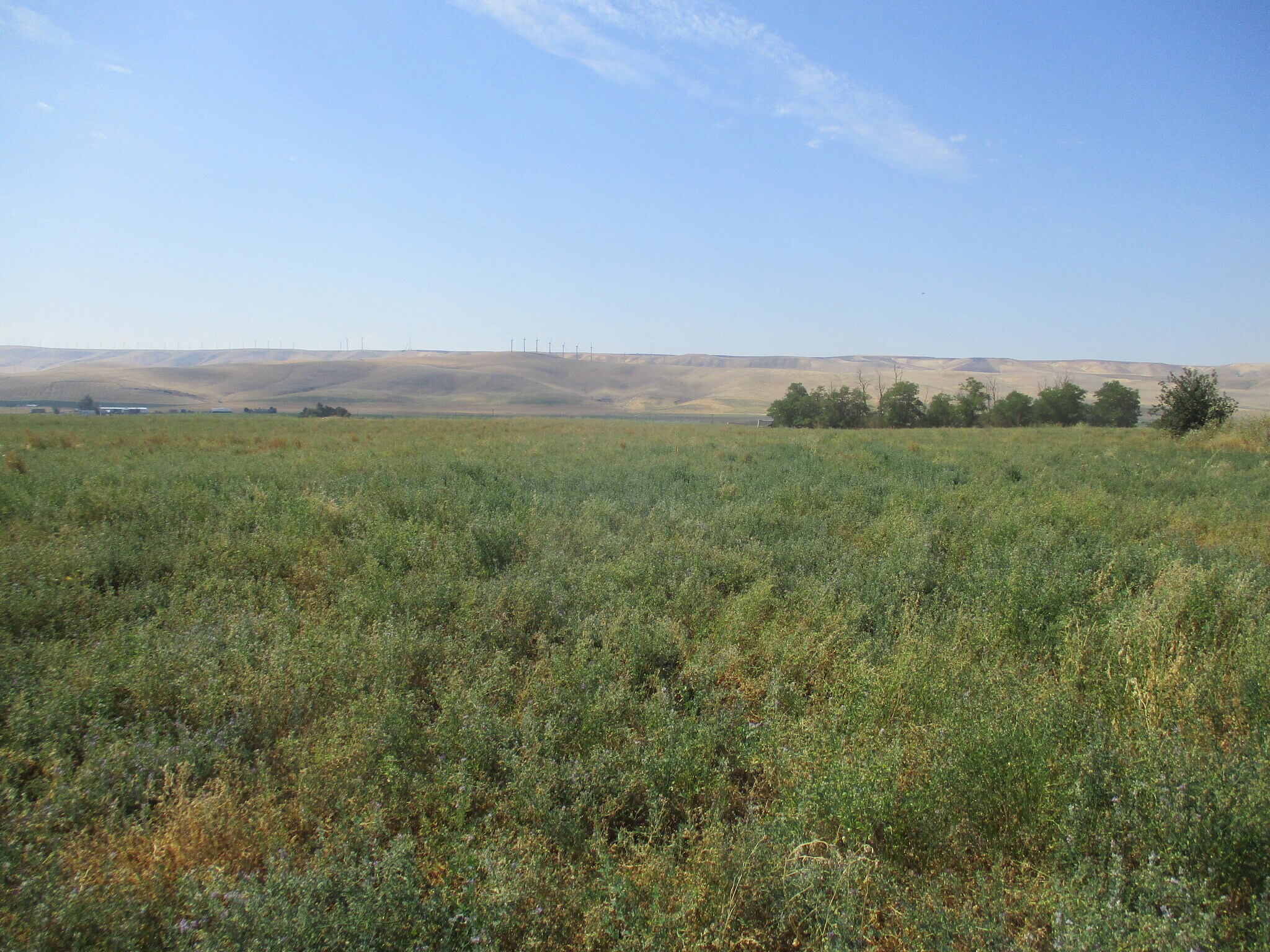 Thurber, Touchet, WA for sale Primary Photo- Image 1 of 4