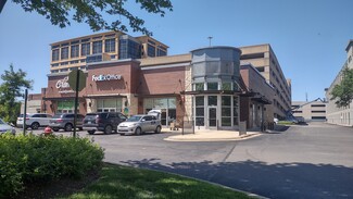 More details for 9500 W Higgins Rd, Rosemont, IL - Retail for Lease