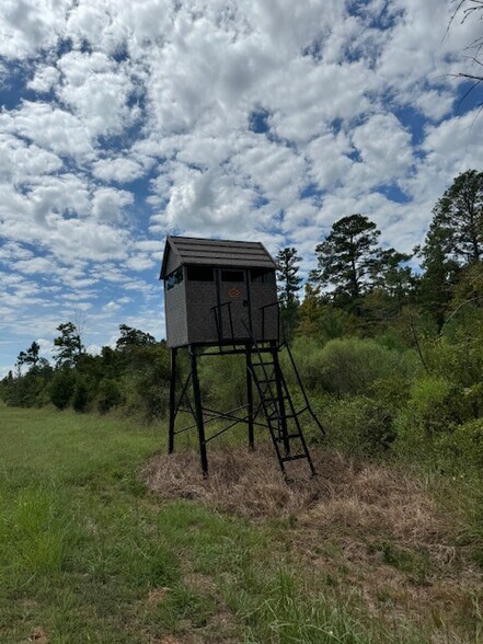 Dynamic Webster Parish, Sarepta, LA for sale - Building Photo - Image 2 of 5