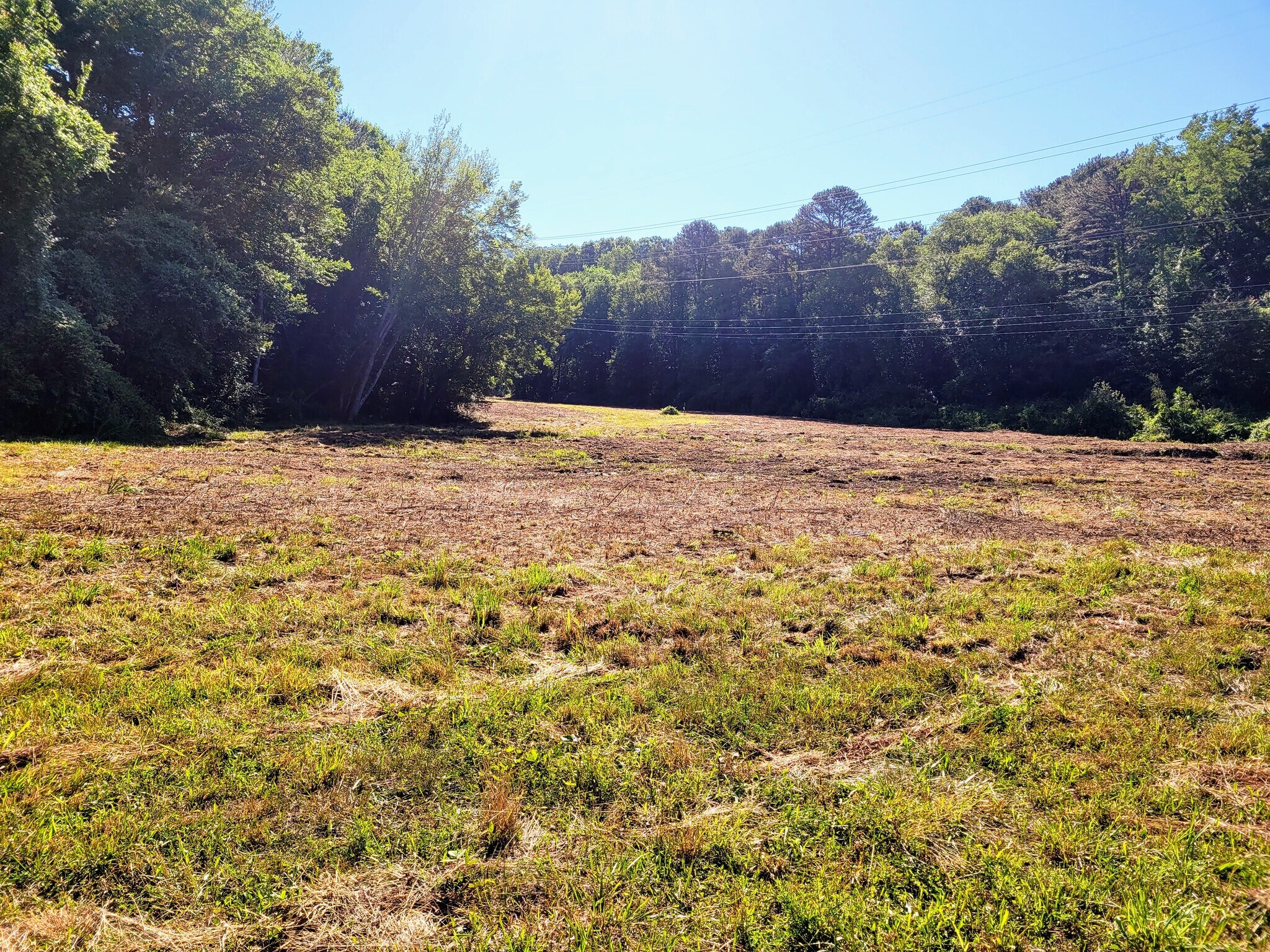9999 Hendersonville Rd, Arden, NC à vendre Photo du bâtiment- Image 1 de 13