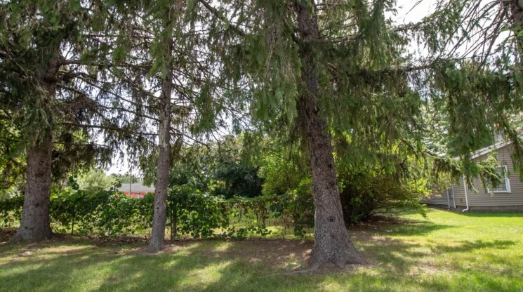 3473 Vienna Rd, Clio, MI à vendre - Photo du bâtiment - Image 2 de 4