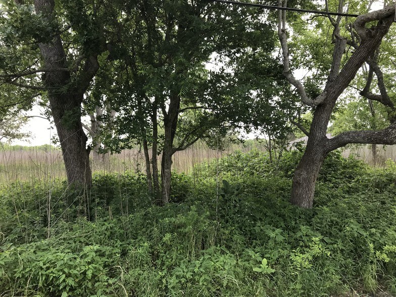 6731 N Masters Rd, Manvel, TX for sale - Other - Image 2 of 8