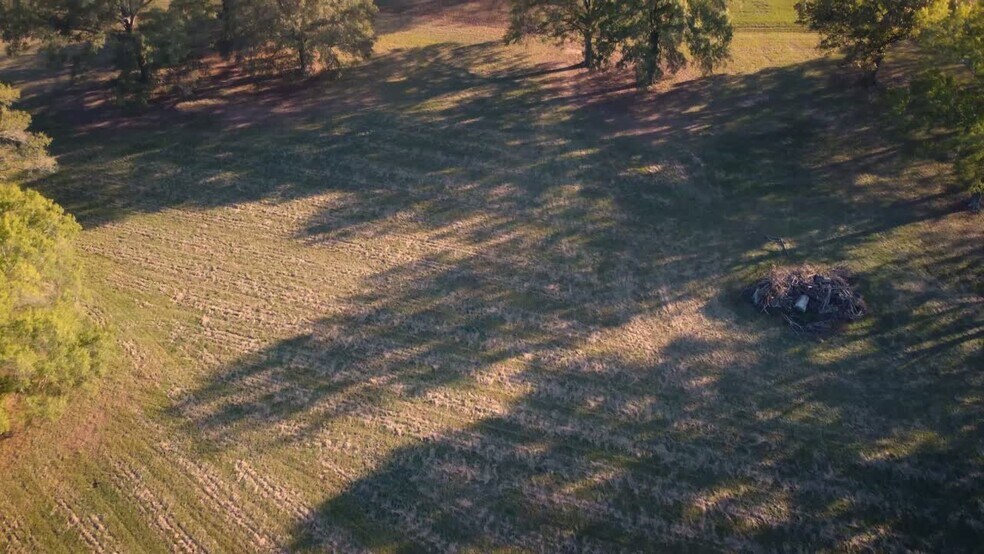 1649 Flowood Dr, Flowood, MS à vendre - Vidéo sur l’inscription commerciale - Image 3 de 16