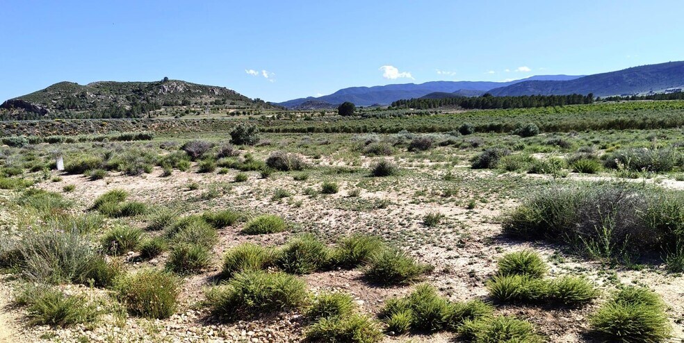 Terrain dans Villena, Alicante à vendre - Aérien - Image 2 de 6
