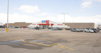 More details for 760 N Van Dyke Rd, Bad Axe, MI - Retail for Lease