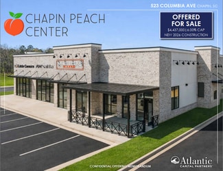 More details for 523 Columbia ave, Chapin, SC - Retail for Sale