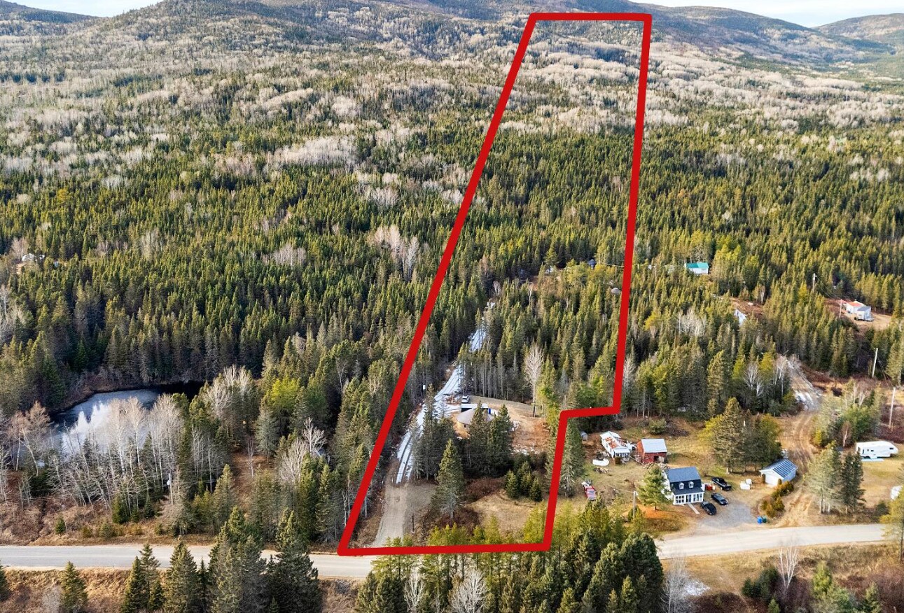 135 Ch De Grand-Fonds, La Malbaie, QC à vendre Aérien- Image 1 de 1