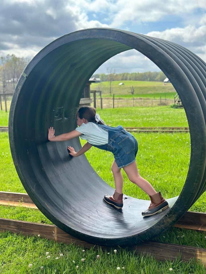 6313 County Road 7, Fitzpatrick, AL à vendre Photo du bâtiment- Image 1 de 1