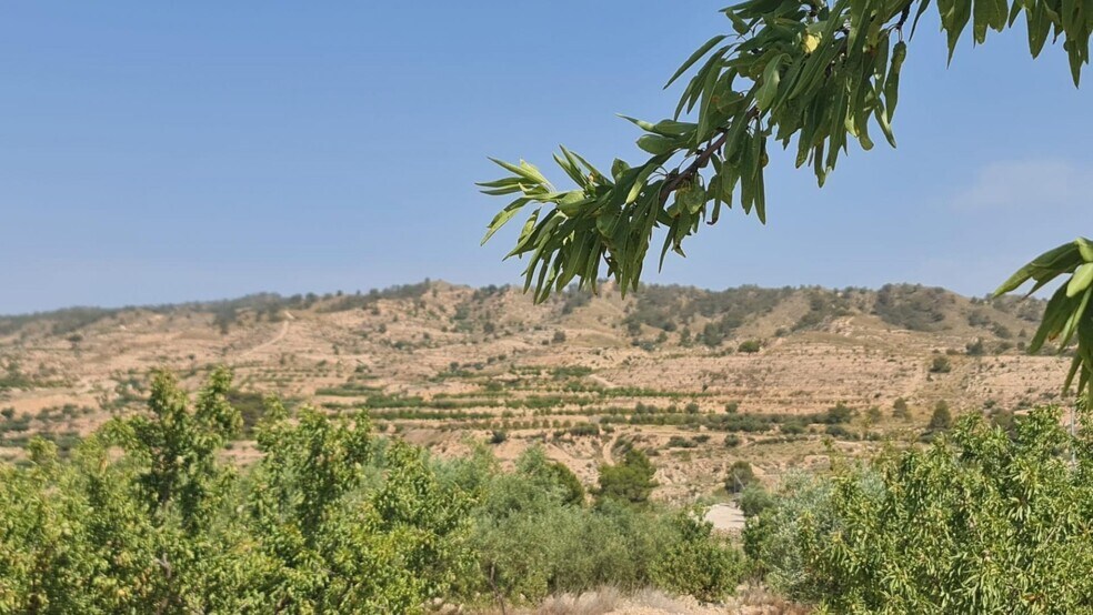 Land in Abanilla, Murcia for sale - Primary Photo - Image 1 of 10