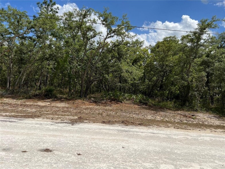 Sage Thrasher Avenue, Weeki Wachee, FL for sale - Other - Image 3 of 6