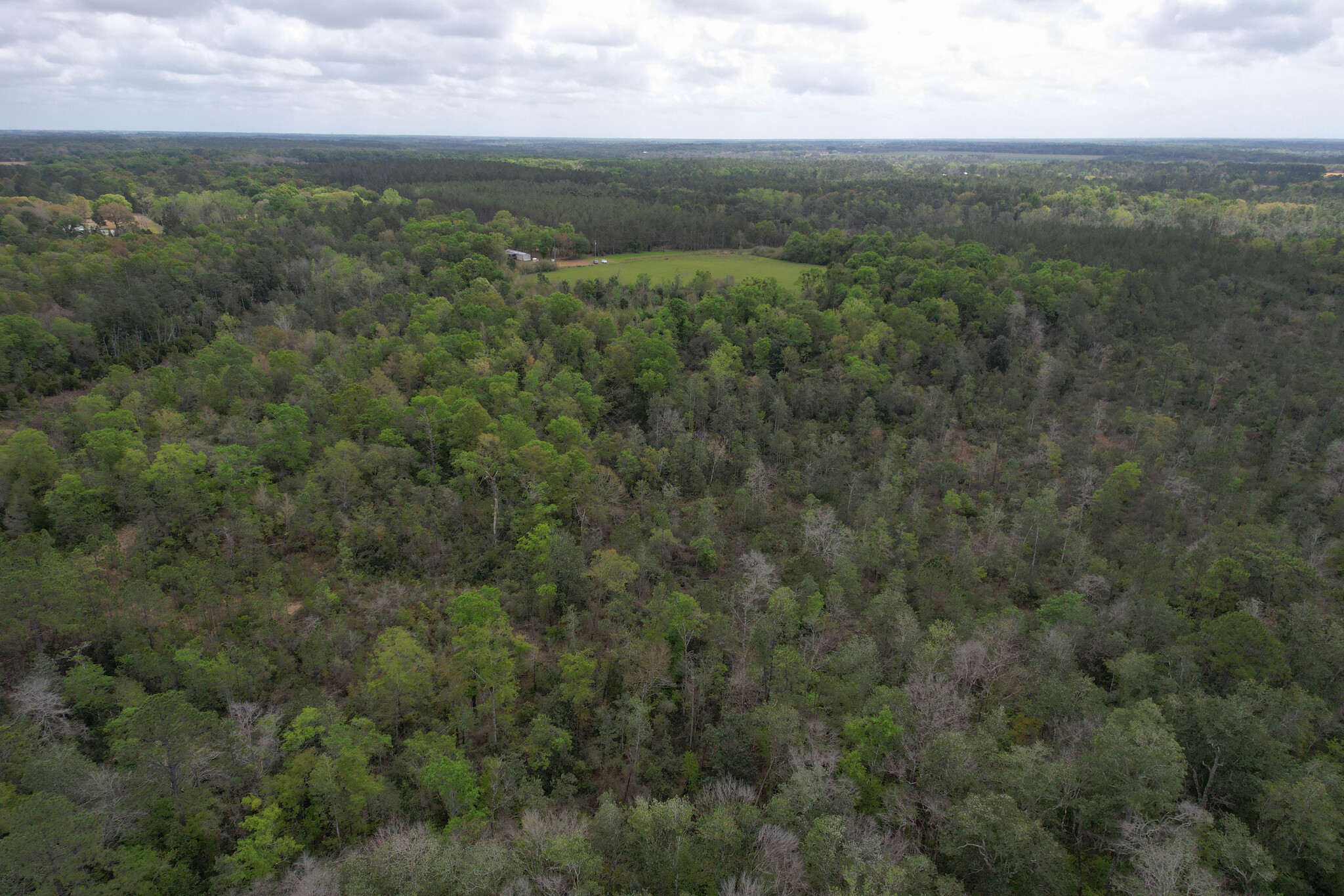 12960 County Road 48, Silverhill, AL for sale Primary Photo- Image 1 of 31