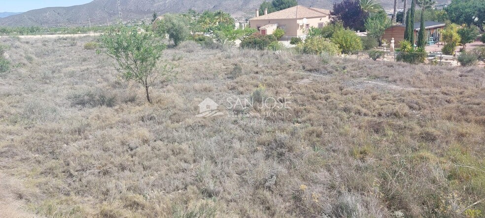 Terrain dans Hondón de los Frailes, Alicante à vendre - Photo principale - Image 1 de 9
