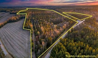 More details for 3246 Belleville Rd, Orangeburg, SC - Land for Sale