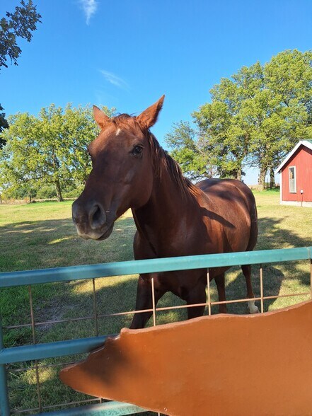 505 Meridian Rd, Miltonvale, KS à vendre - Photo du bâtiment - Image 3 de 42