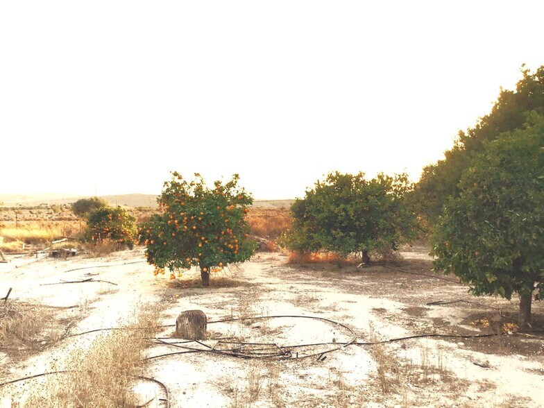 Land in Molina de Segura, Murcia for sale - Primary Photo - Image 3 of 5