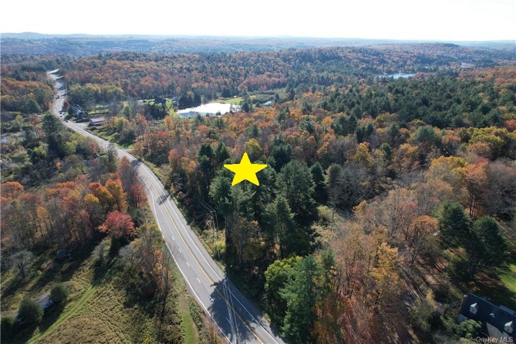 1195 State Route 17B, Bethel, NY à vendre Aérien- Image 1 de 39