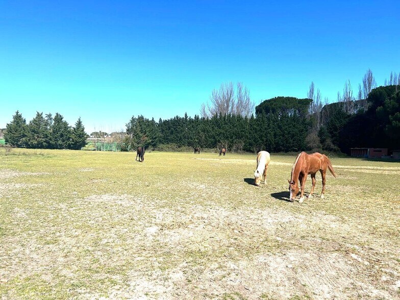 de Castillejo, S/N, Laguna de Duero, Valladolid for sale - Building Photo - Image 3 of 46