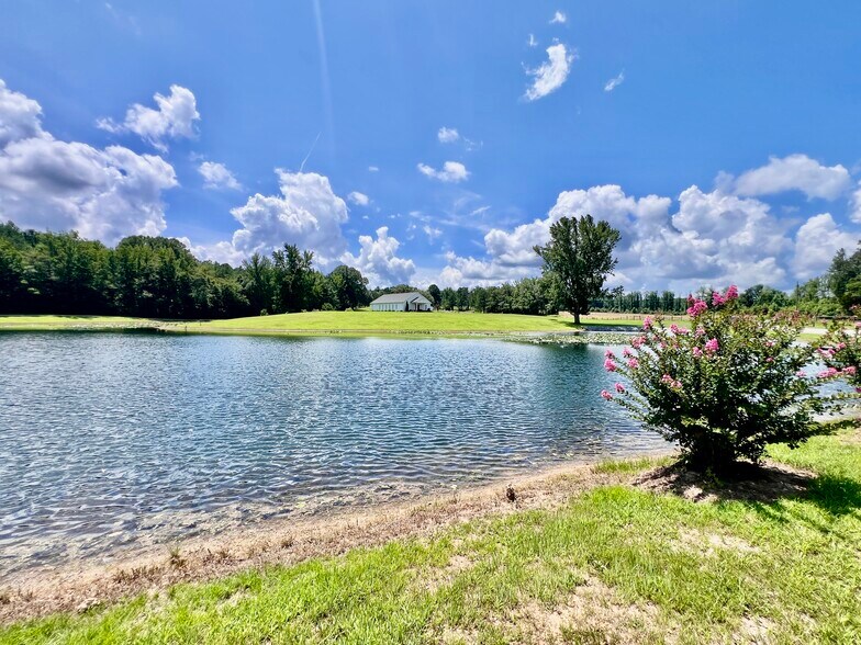 3375 Rowland Mill Rd, Buena Vista, TN à louer - Photo du bâtiment - Image 1 de 25