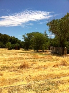 1266 East Ave, Chico, CA for sale - Primary Photo - Image 1 of 1