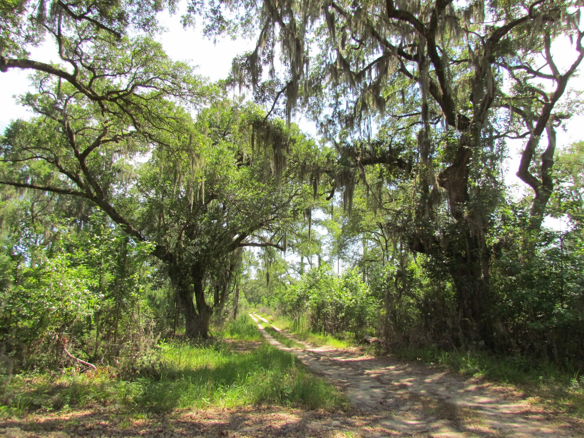 214 Seabrook, Seabrook, SC for sale Other- Image 1 of 14