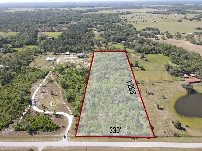 Plus de détails pour 19086 Ayers Rd, Brooksville, FL - Terrain à vendre