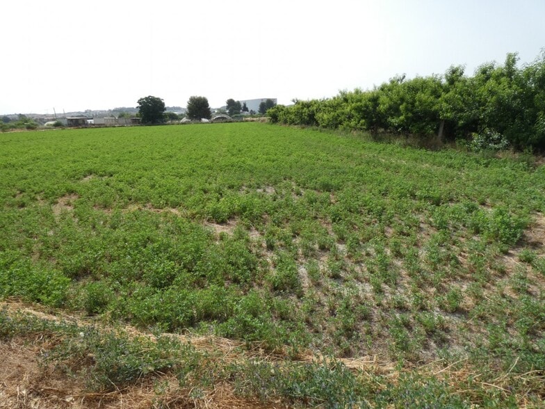 Terrain dans Alguazas, Murcia à vendre - Plan de site - Image 3 de 7